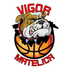 Vigor Basket Matelica