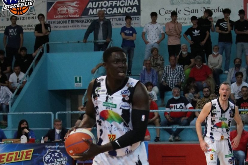 Vigor Matelica Fadilou Seck