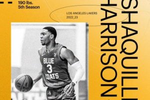 Lakers Sign LJ Figueroa and Shaquille Harrison
