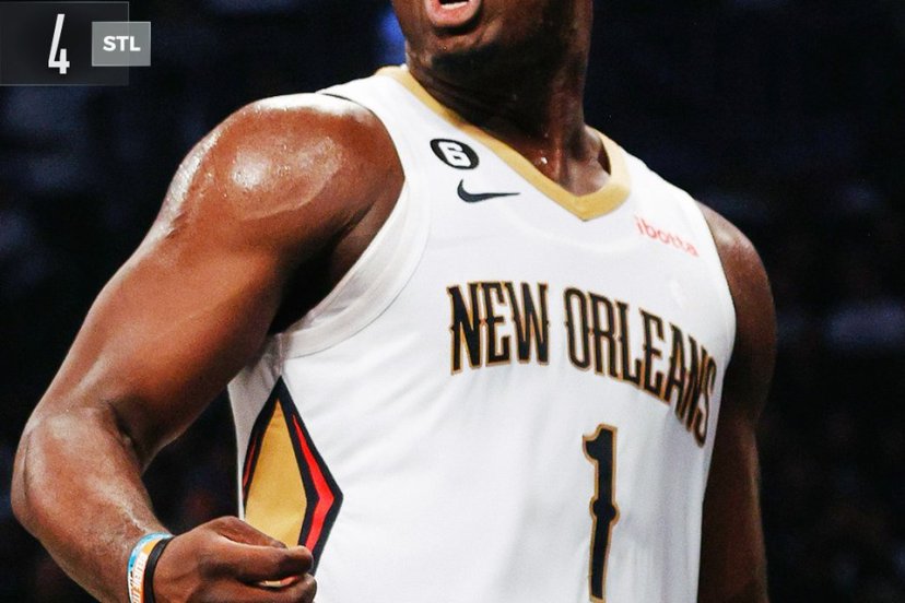 Zion Pelicans Nets