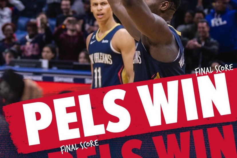 pelicans Toronto