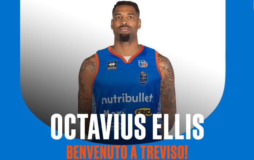 Treviso Ellis