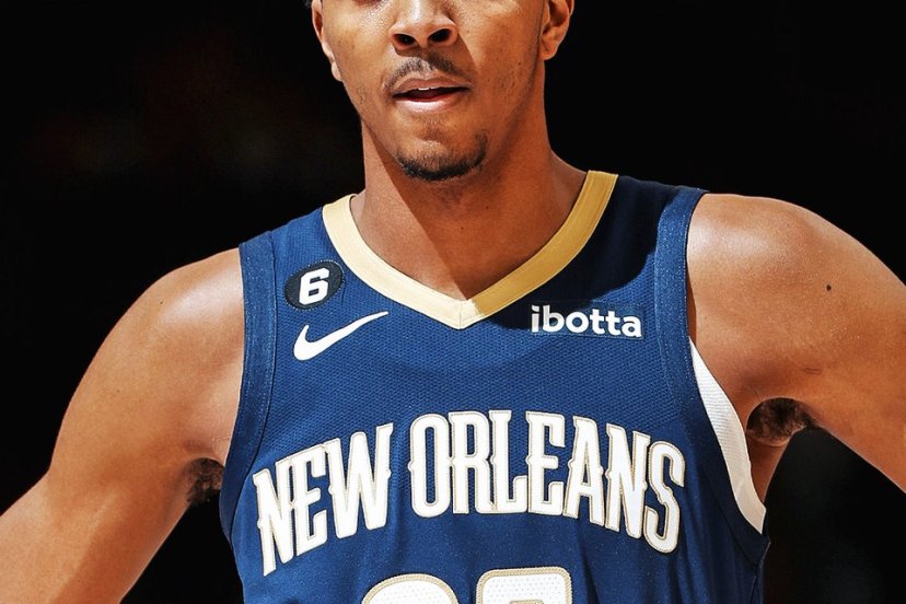 Pelicans Sacramento
