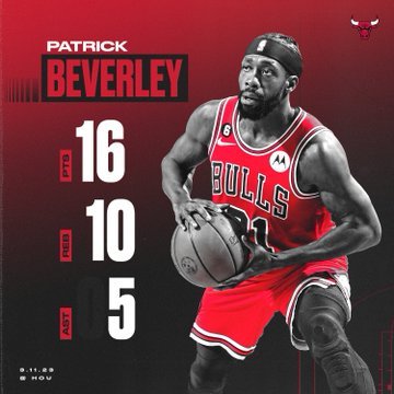 Pat Beverley Bulls