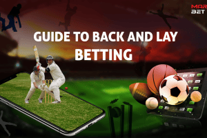 Terms And Conditions Of MMA Betting