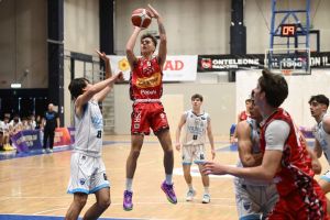 Pesaro domina Cremona, Fainke e Colotti i trascinatori