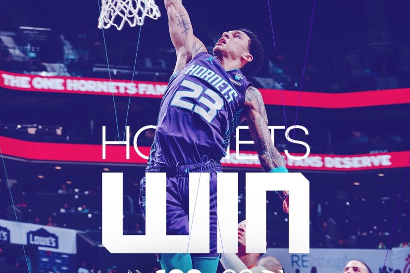 Hornets Hawks