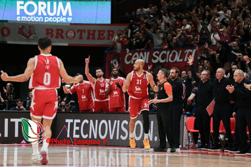 Gazzetta Mirotic Shields