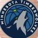 Minnesota Timberwolves, fiducia in Joan Beringer