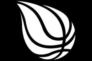 Rettifica Rissa Under 17