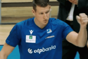 Luka Božić officially signs with Guangdong Southern Tigers