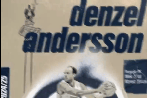 Denzel Anderson signs with Dziki Warszawa