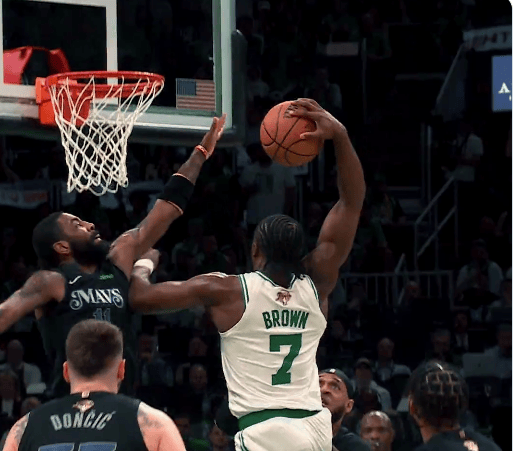 jaylen brown