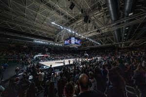 Virtus Bologna, da domani aperta la biglietteria per le sfide contro Alba Berlino e Stella Rossa