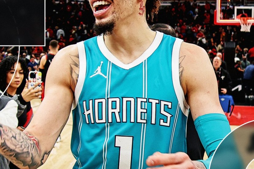 Hornets Bulls