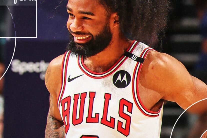 White Bulls Hornets