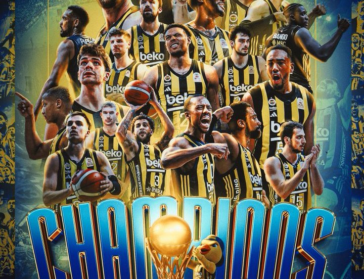 fenerbahce BSL