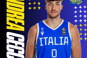 Fiorenzuola Bees: accordo con Andrea Cecchi