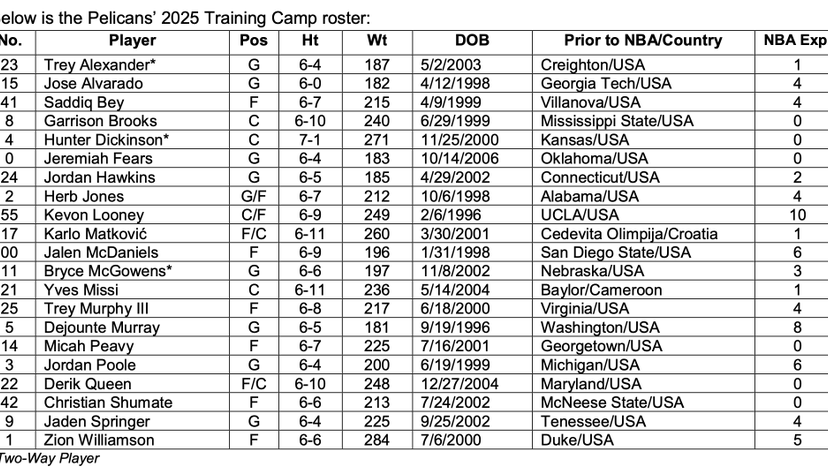 pelicans training camp
