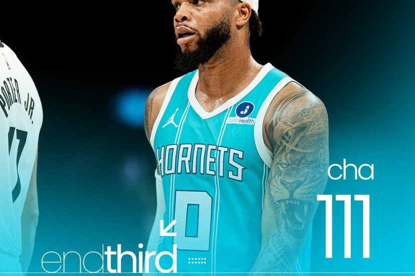 Hornets Nets