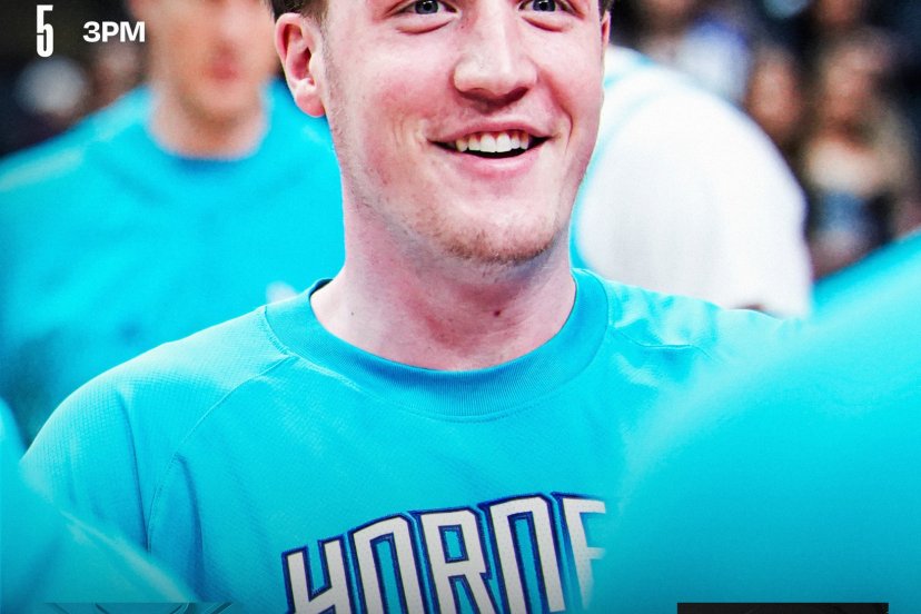 Hornets Raptors