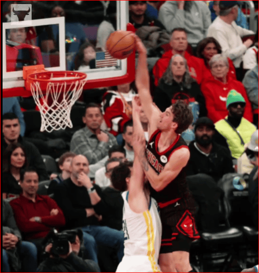 chicago bulls
