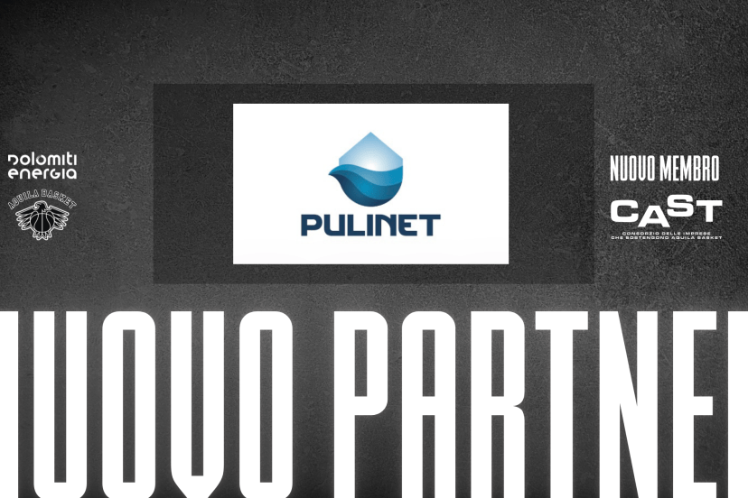Pulinet
