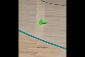 Sex toy thrown onto court during Sparks-Dream game as fan flees arena