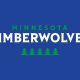 Minnesota Timberwolves, intervento riuscito per Anthony Edwards: recupero completo atteso