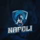 Napoli Basketball, presentato al Comune il documento di fattibilità per il Mario Argento