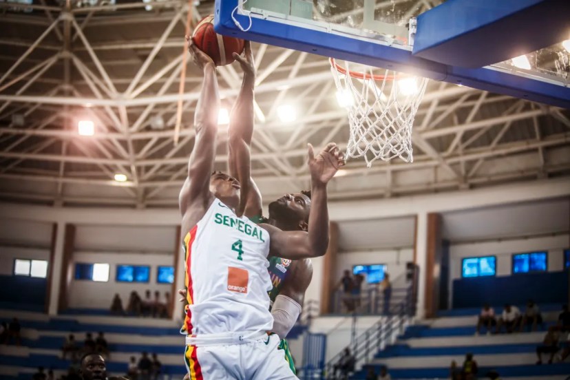 quinn ellis St. John's