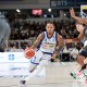 Nutribullet Treviso, domenica si torna al Palaverde per la sfida con Udine