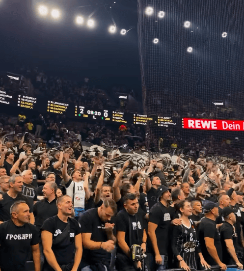 partizan fan